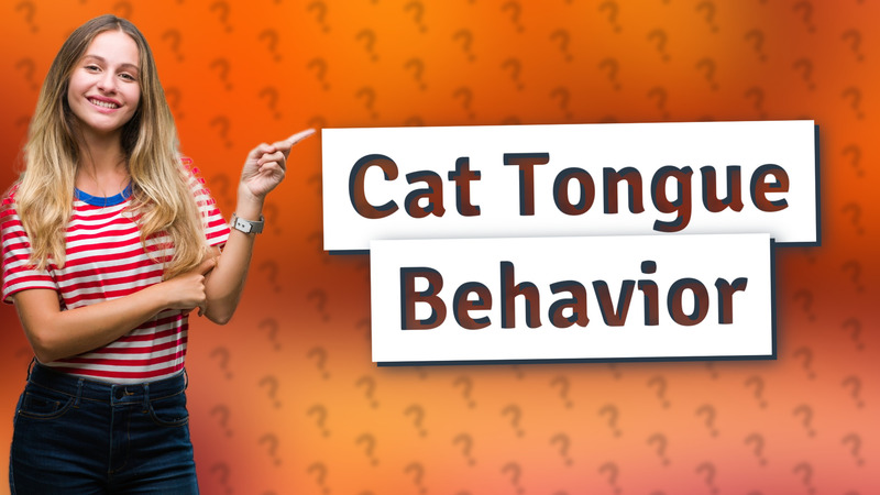 Cat Tongue Behavior