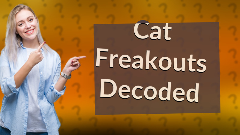 Cat Freakouts Decoded