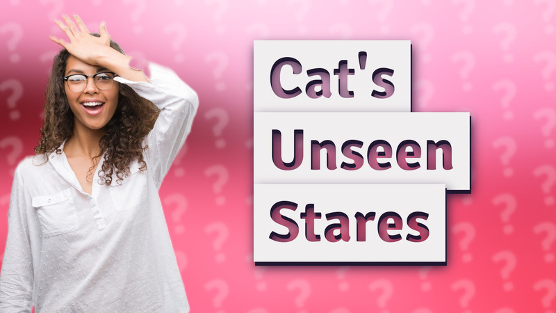 Cat's Unseen Stares