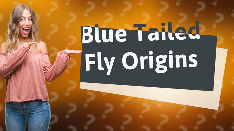 Blue Tailed Fly Origins
