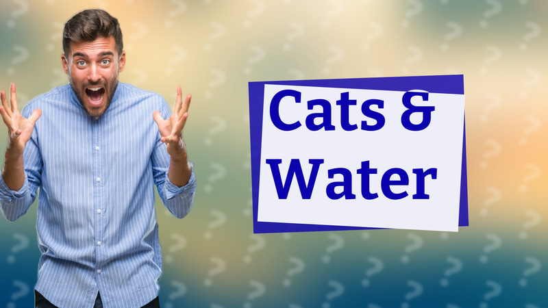 Cats & Water