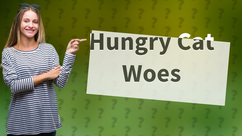 Hungry Cat Woes