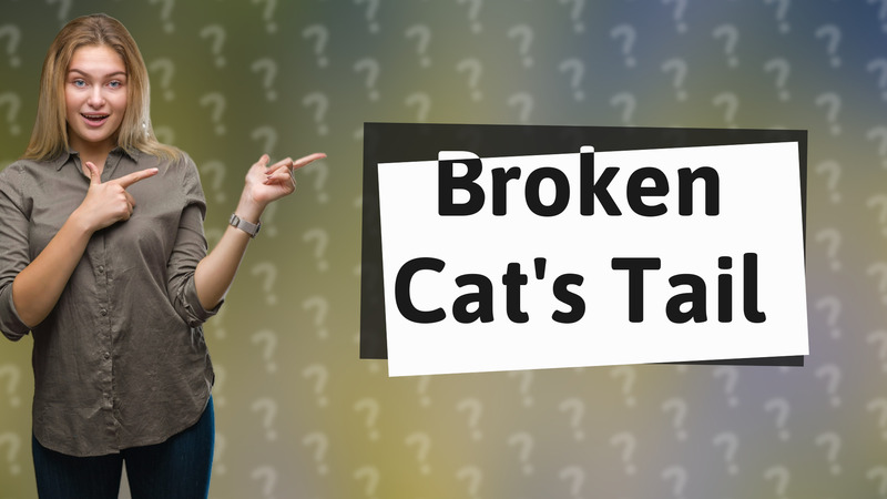 Broken Cat's Tail