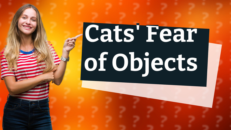 Cats' Fear of Objects