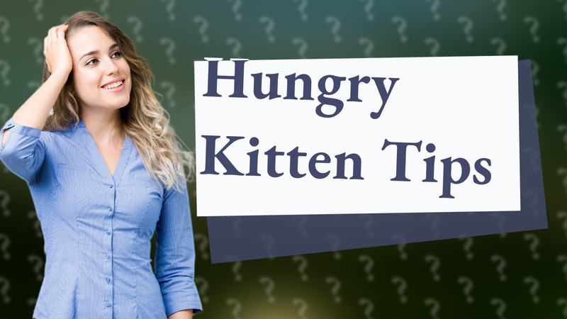 Hungry Kitten Tips