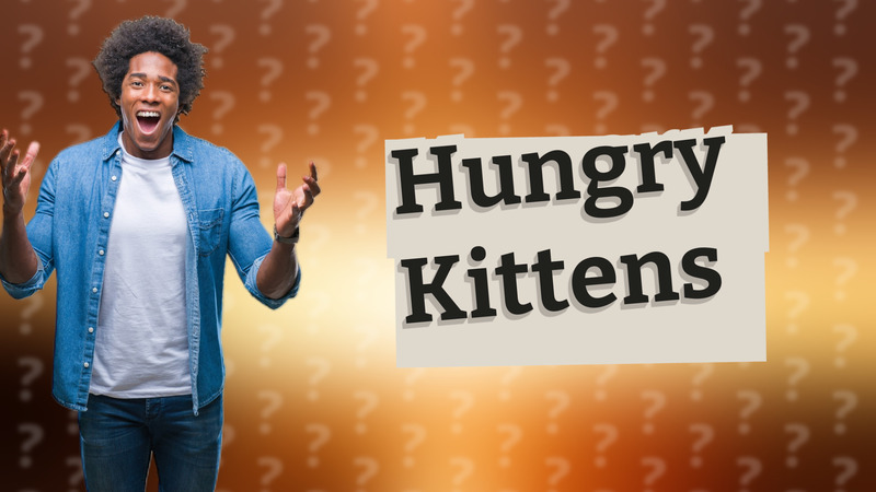 Hungry Kittens