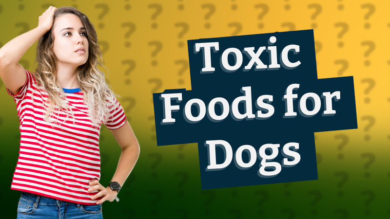 Toxic Foods for Dogs