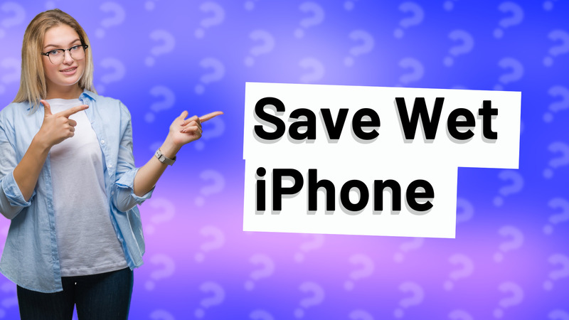 Save Wet iPhone