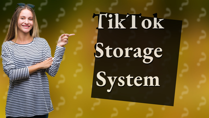 TikTok Storage System