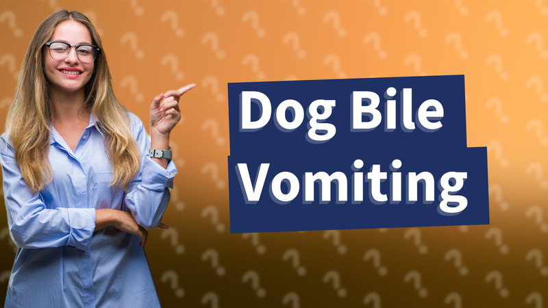 Dog Bile Vomiting