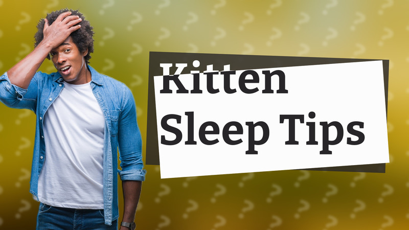 Kitten Sleep Tips
