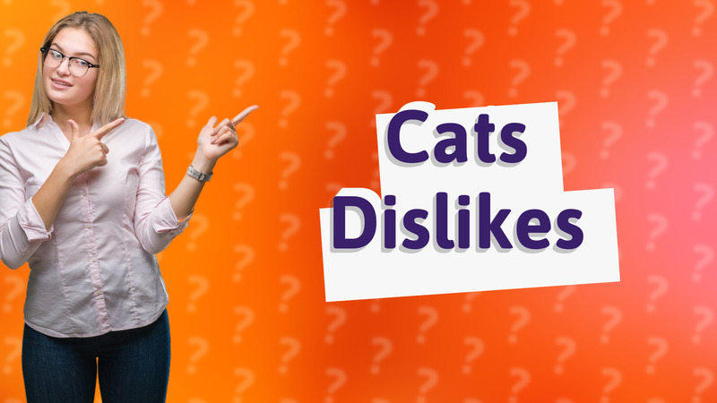 Cats Dislikes