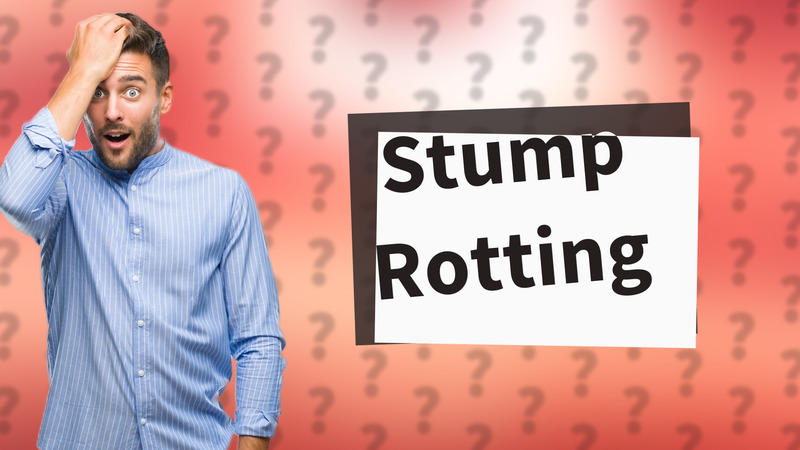 Stump Rotting