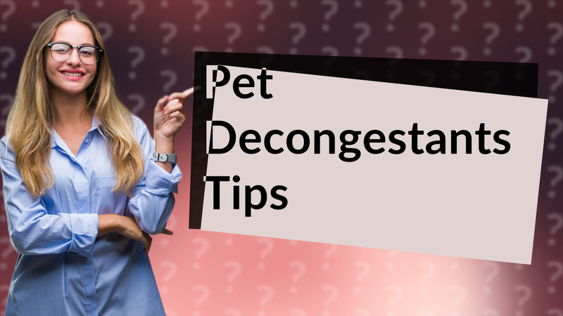 Pet Decongestants Tips