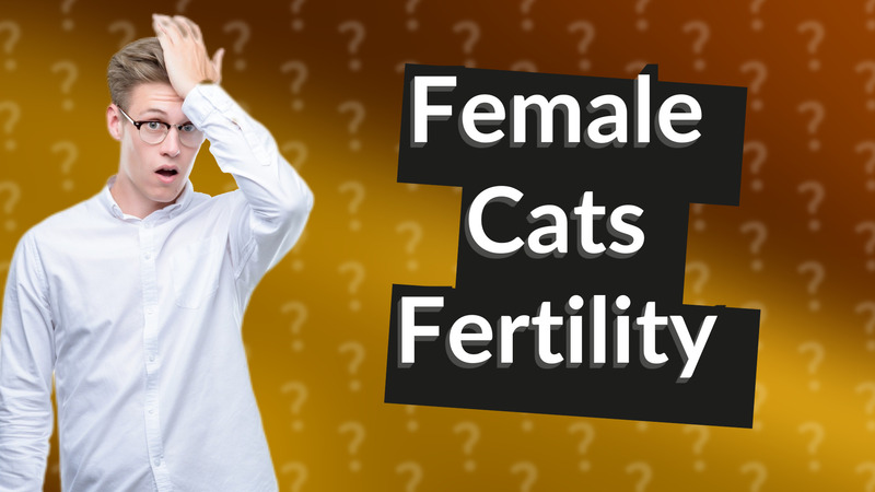 Female Cats Fertility
