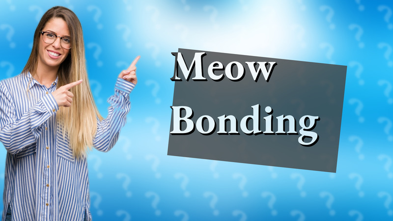 Meow Bonding