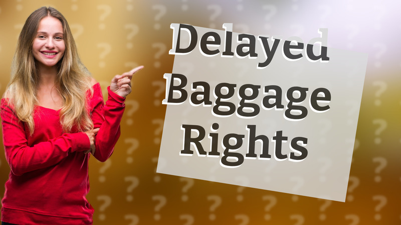 Delayed Baggage Rights