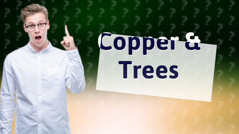 Copper & Trees