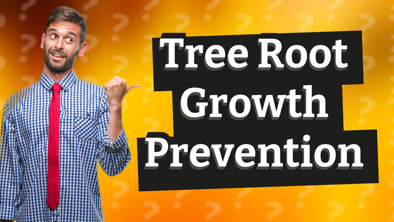 Tree Root Growth Prevention