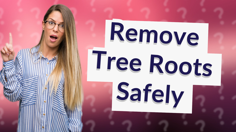 Remove Tree Roots Safely