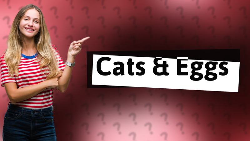 Cats & Eggs