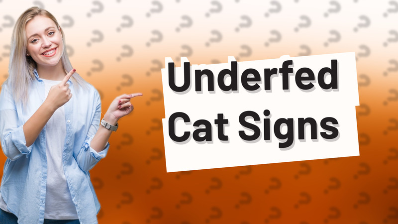 Underfed Cat Signs