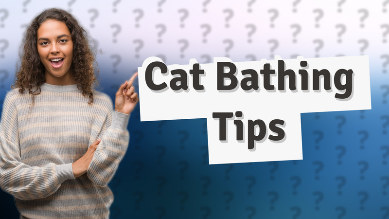 Cat Bathing Tips