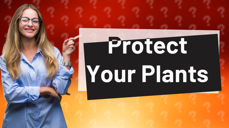 Protect Your Plants
