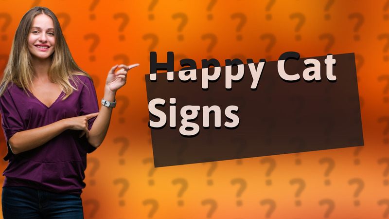 Happy Cat Signs