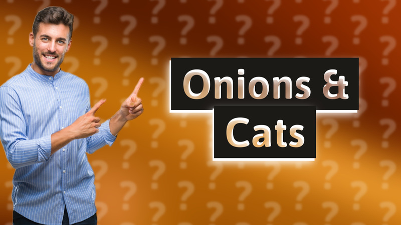Onions & Cats