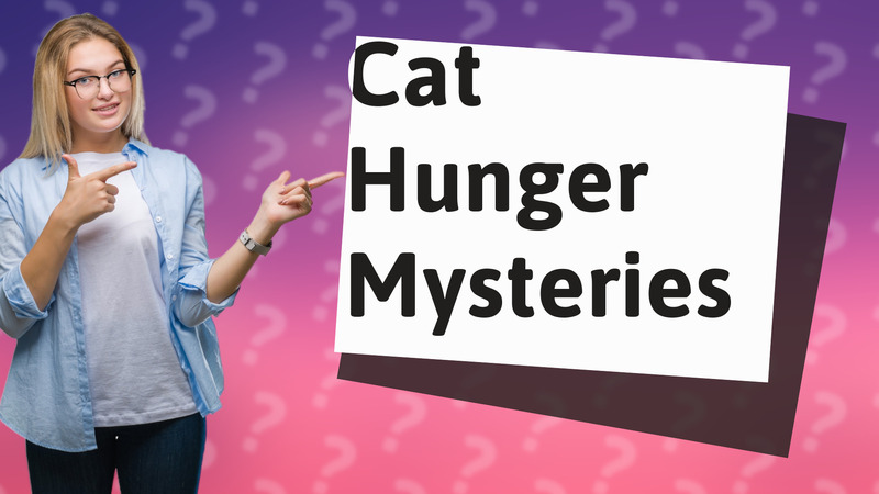 Cat Hunger Mysteries