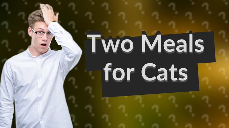 Two Meals for Cats