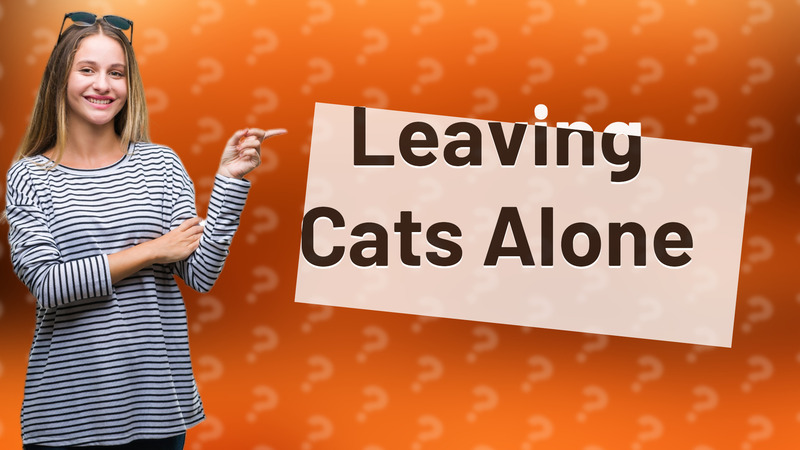 Leaving Cats Alone