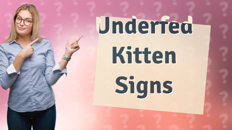 Underfed Kitten Signs