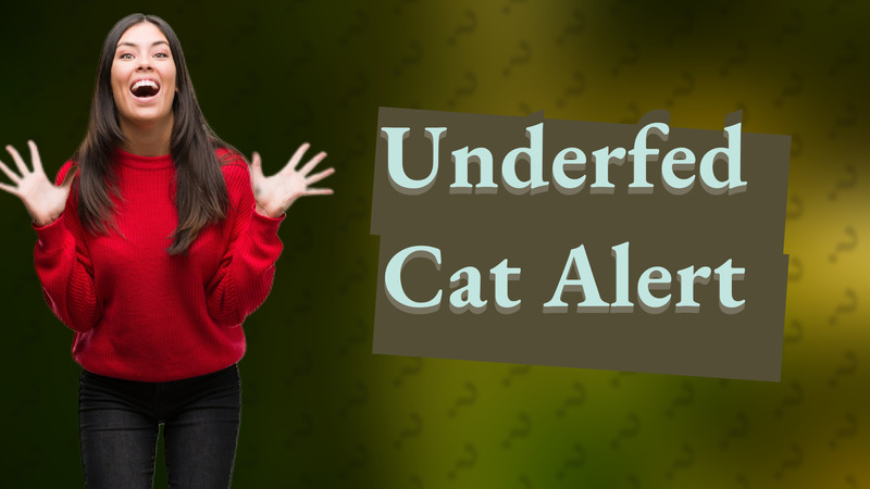 Underfed Cat Alert