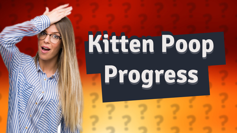 Kitten Poop Progress