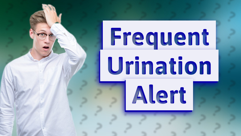 Frequent Urination Alert