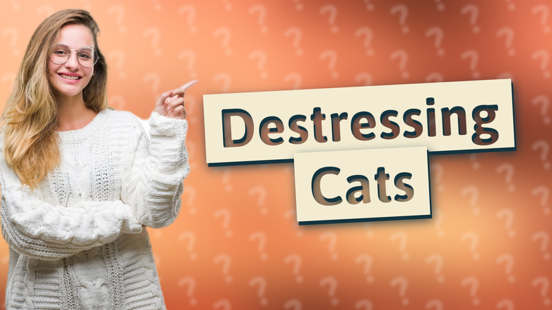 Destressing Cats