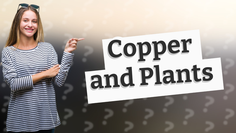 Copper and Plants