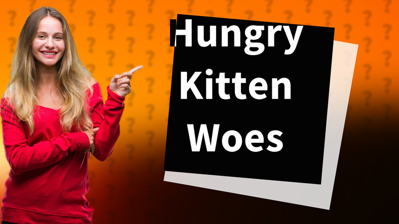 Hungry Kitten Woes