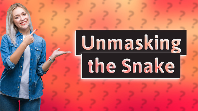 Unmasking the Snake