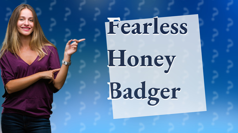Fearless Honey Badger