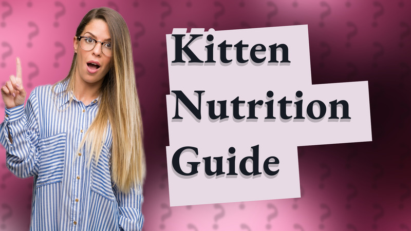 Kitten Nutrition Guide