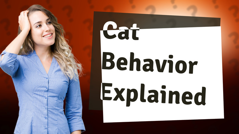 Cat Behavior Explained