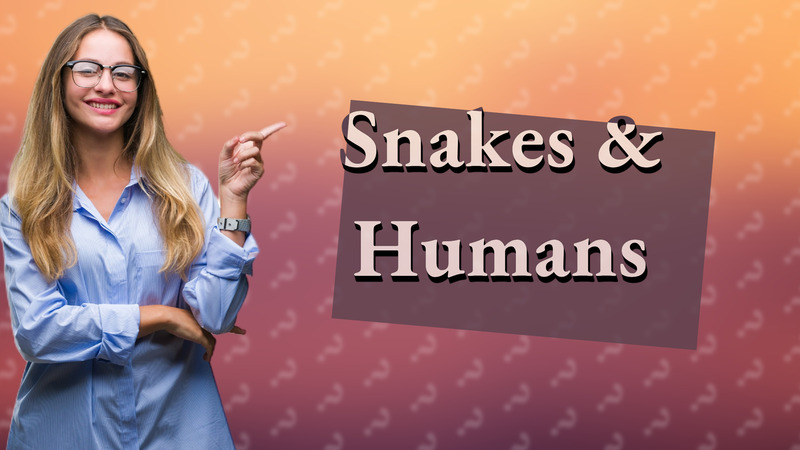 Snakes & Humans