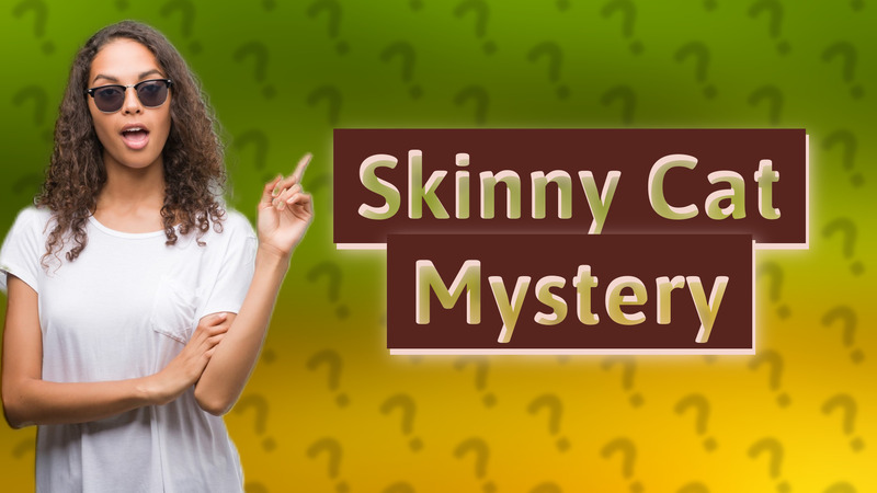 Skinny Cat Mystery