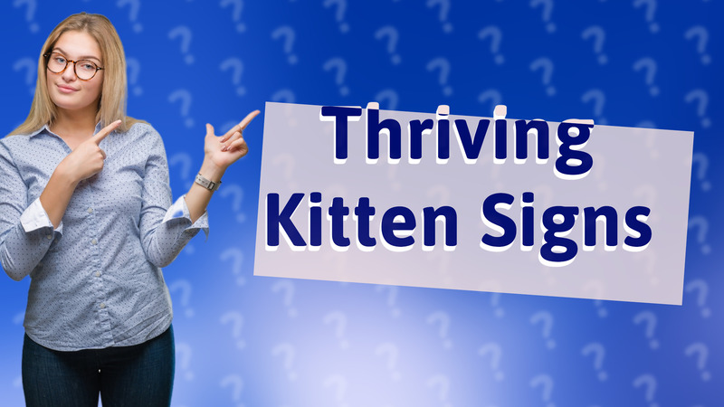 Thriving Kitten Signs