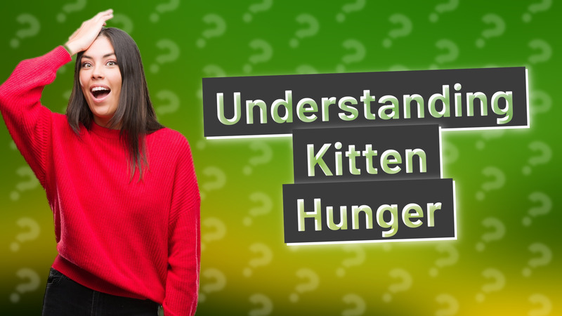 Understanding Kitten Hunger