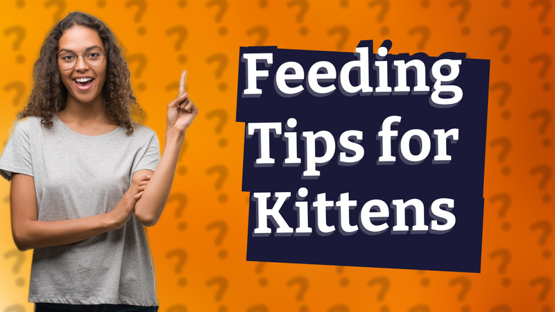 Feeding Tips for Kittens