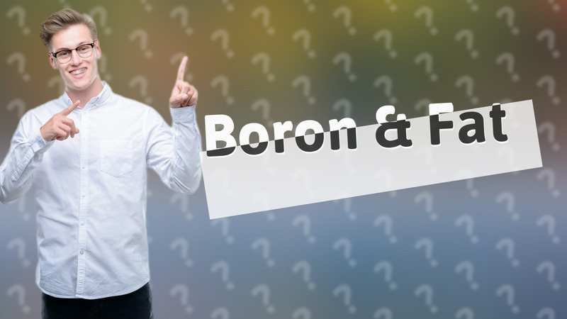 Boron & Fat